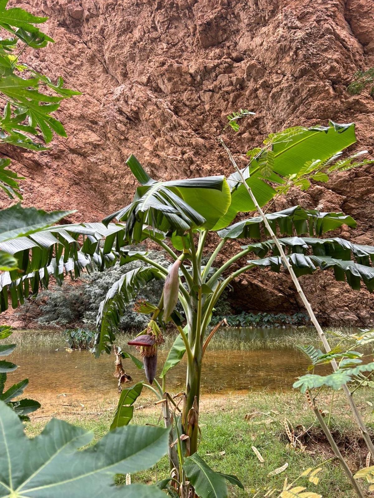 Atlas Wadi Shab Sur Buitenkant foto